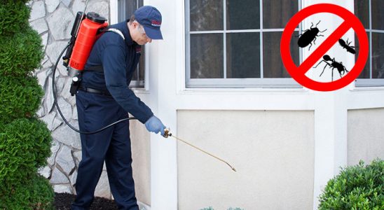 Güzelyalı Haşere İlaçlama böcek ilaçlama ve haşere kontrolü — ilaclama-tr.com